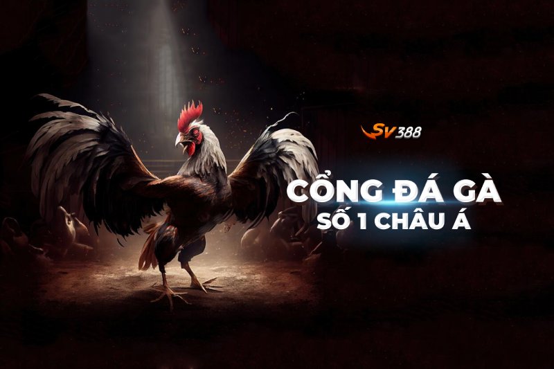 Trò chơi đá gà Sv388 ngày nay như thế nào?